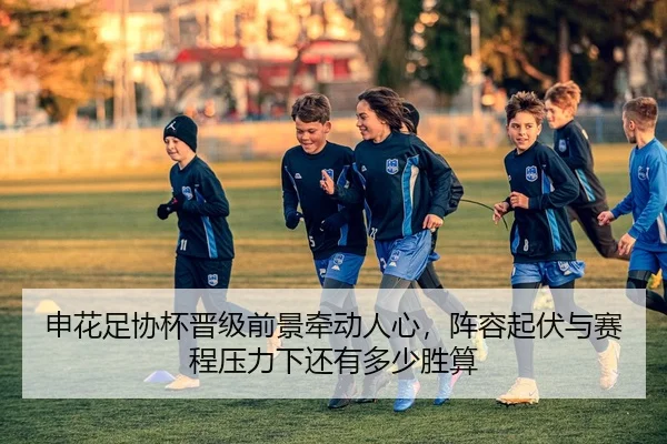 申花足协杯晋级前景牵动人心，阵容起伏与赛程压力下还有多少胜算
